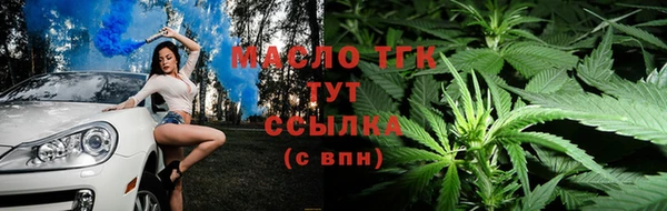 ПСИЛОЦИБИНОВЫЕ ГРИБЫ Заводоуковск