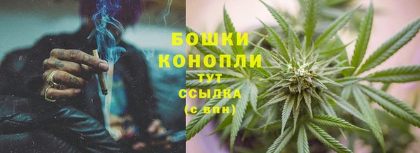 ПСИЛОЦИБИНОВЫЕ ГРИБЫ Заводоуковск