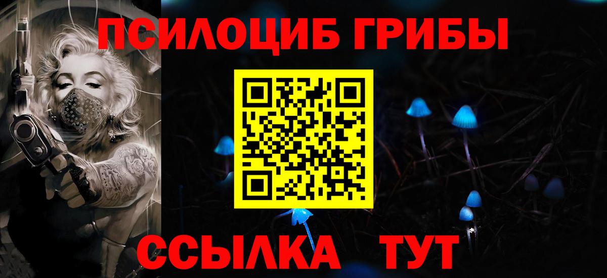 Псилоцибиновые грибы Psilocybe Нарьян-Мар
