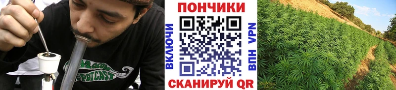 Шишки марихуана планчик  кракен маркетплейс  Нарьян-Мар 